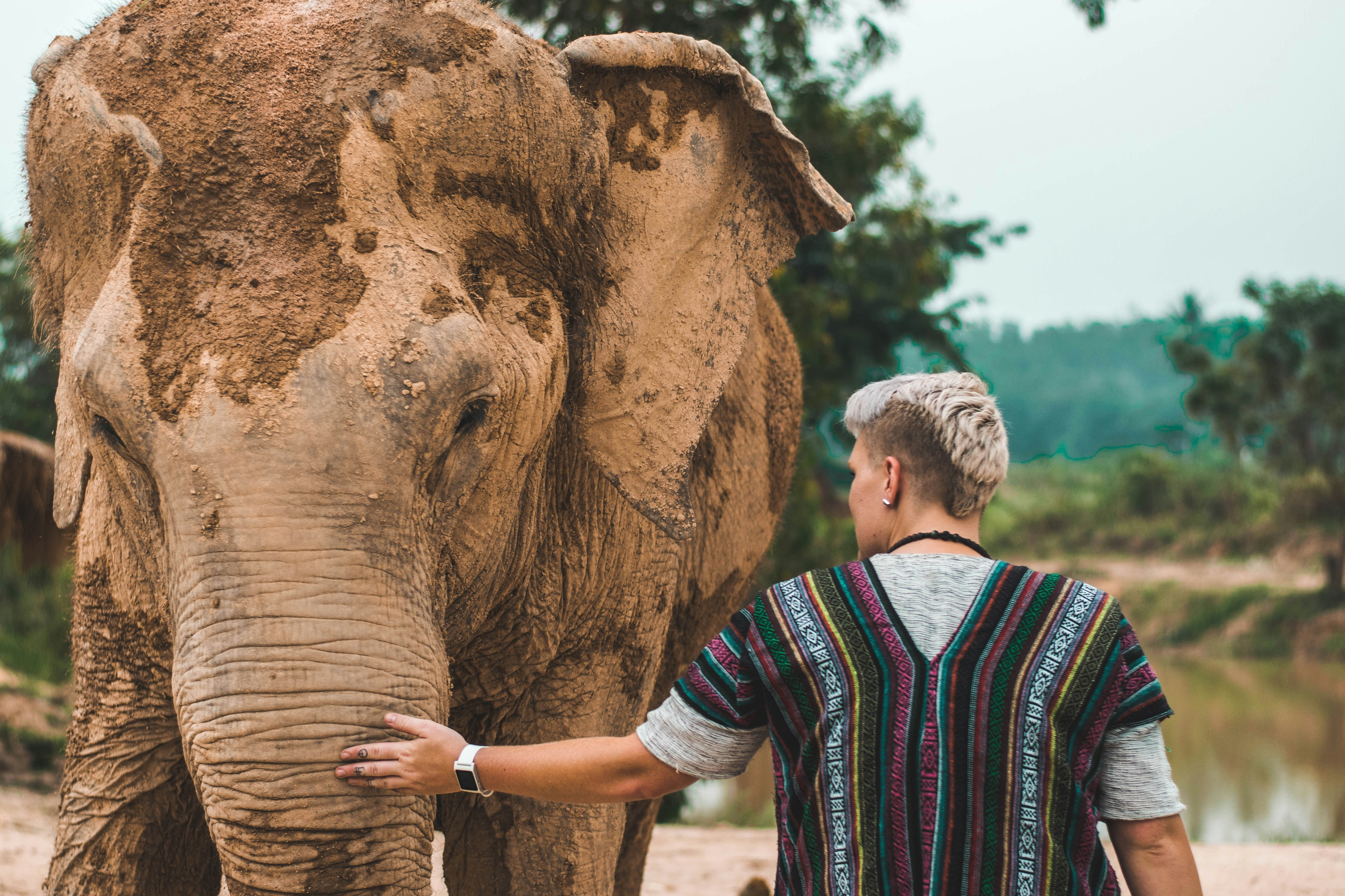 man at an elephant sanctuary in Thailand